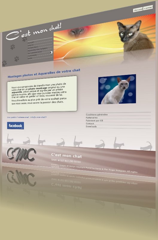 Site e-commerce photo chat encadrement